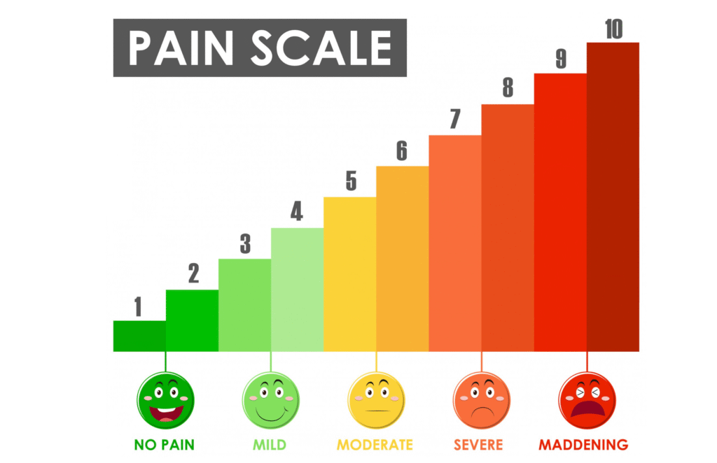 How Creatinine Levels Indicate Kidney Function