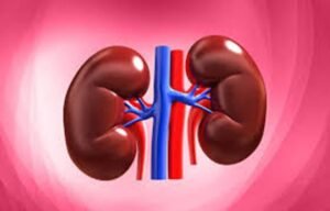 Glomerular Diseases