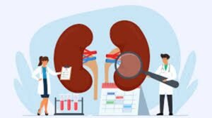 Kidney Function Screening