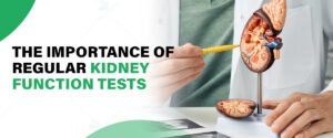 Importance of Regular Kidney Function Tests