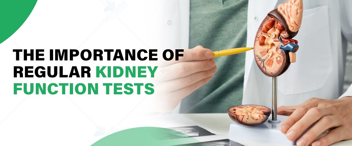 Importance of Regular Kidney Function Tests