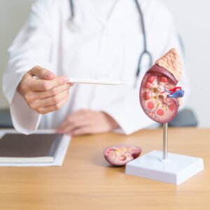 Chronic Kidney Disease