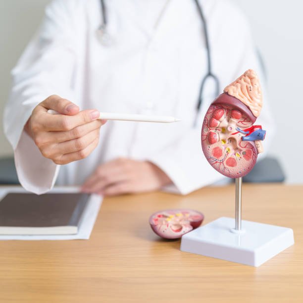 Chronic Kidney Disease